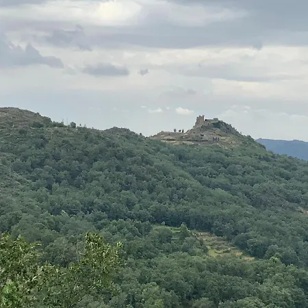 In With Mountain Views *