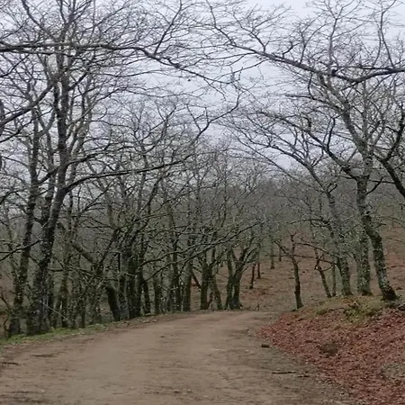 In With Mountain Views